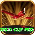 2019 world cup - Live VIP