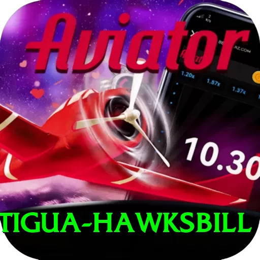 antigua hawksbill Pro Edition v4.4.8 - 2