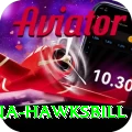 antigua hawksbill Pro Edition v4.4.8