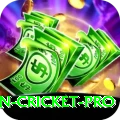 australian cricket Deluxe - Casino & Slots