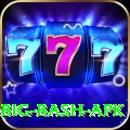 bbl big bash apk Games (Casino & Earning) Pro v4.1.1