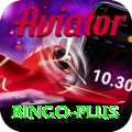 bingo Max Pro v3.7.4