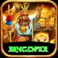 bingopkr Master Pro v1.1.0