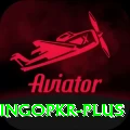 bingopkr VIP v1.9.6
