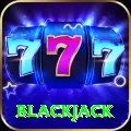 blackjack Max Pro v2.5.1