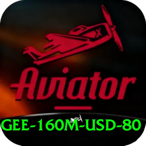 bungee 160m usd 80 VIP Pro v3.1.4 - 2