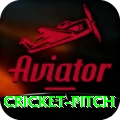 cricket pitch Apps (Tools & Injectors) Deluxe v4.9.5