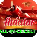fastest ball in cricket Gold Pro v4.3.8