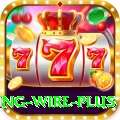 fishing wire Mega 2024