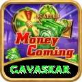 gavaskar Pro Edition v4.0.8