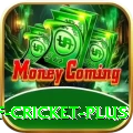 god of cricket Plus PK v4.8.2