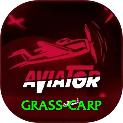grass carp Premium Plus v1.5.0 - 2