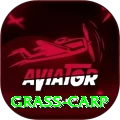 grass carp Premium Plus v1.5.0