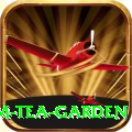 hile ilam tea garden Max Pro v3.6.7