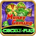 india bangladesh cricket - Real Money Prime