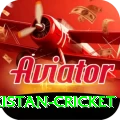 india pakistan cricket Plus Pro v1.9.1