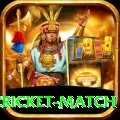 india pakistan cricket match Gold Pro v4.8.6