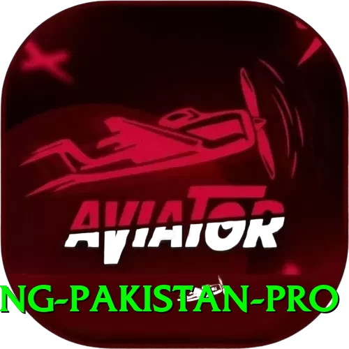 IPL Betting Pakistan Gaming Ultimate v1.1.2 - 2
