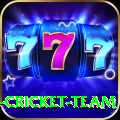 ireland cricket team Elite v5.7.0