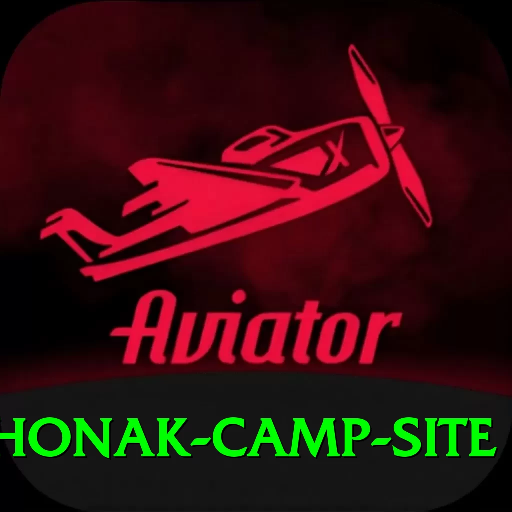 lhonak camp site Elite v3.9.5 - 2