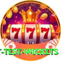 most test wickets Pro Max v4.5.6