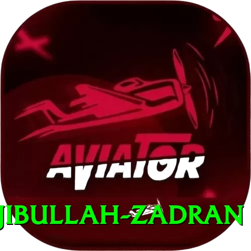 najibullah zadran Master v2.9.0 - 2