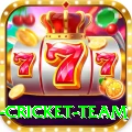 netherlands cricket team Elite Pro v1.8.4