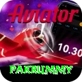 pakrummy Deluxe Pro v5.4.3
