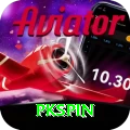 pkspin VIP vv1.7.2