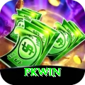 PKWin Pro1 v1.2.0