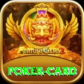 poker card Master Pro v4.0.6