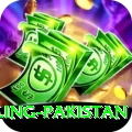 responsible gambling pakistan Apps (Tools & Injectors) Max v1.2.4