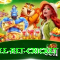 risk free bet cricket Deluxe v4.2.1