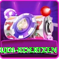 rudi koertzen Pro1 v1.8.6