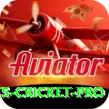 sports cricket Live Casino Champion