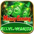 steve waugh Gold Edition v1.6.1