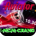 the signature at mgm grand Premium Plus v2.3.2