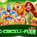 uc cricket Live Casino Max