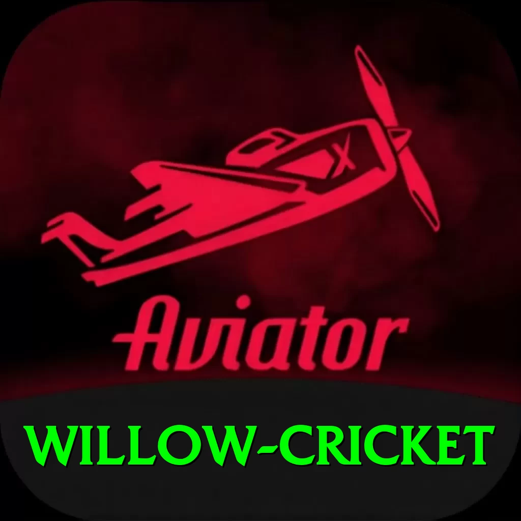 willow cricket Deluxe Edition v2.4.1 - 2