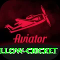 willow cricket Deluxe Edition v2.4.1