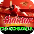world t20 schedule Premium v2.2.2
